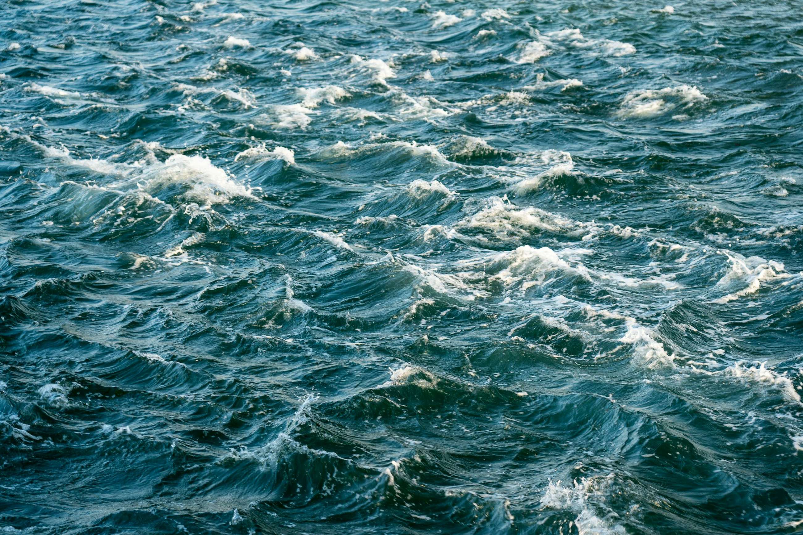 Nick fewings m S8 F Tg HUM Cg unsplash